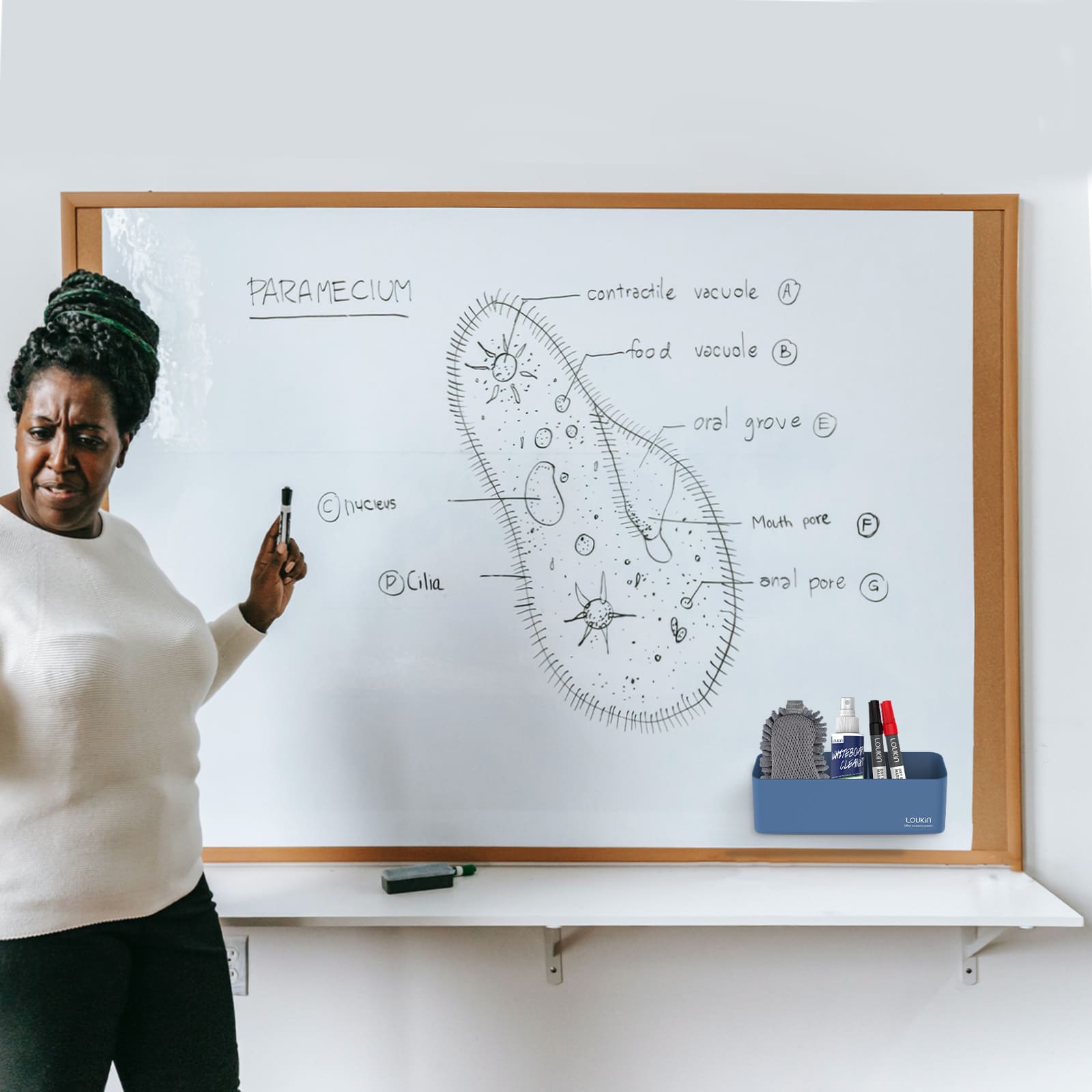 loukin W4102 MarkerHolderBig in blue color, magnetically attached to a large white whiteboard in a gym or fitness setting. The large holder is shown storing dry-erase accessories (eraser glove, cleaner, markers) while a woman in a purple hoodie writes a workout routine ("Exercises") on the board, demonstrating organization in an active environment.